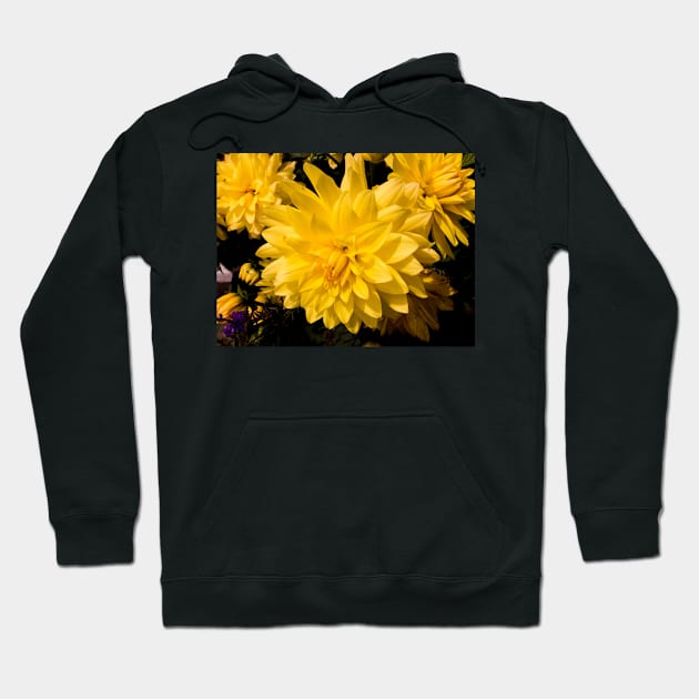 Starburst Hoodie by thadz